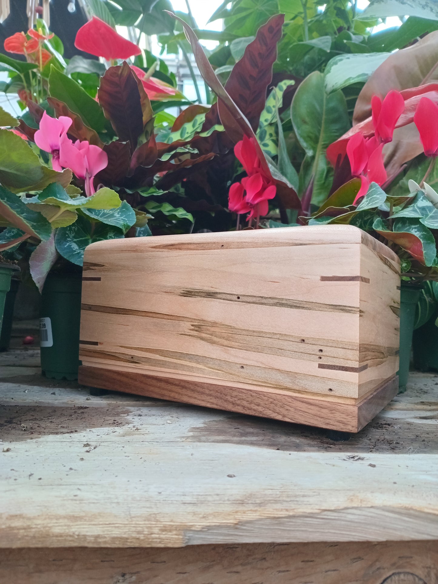 The Safe Harbor Woodbox Urn For Ashes