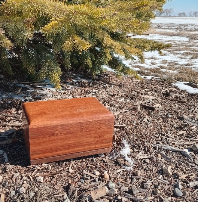 Twilight Grove - Exotic Wood Box Urns for Ashes