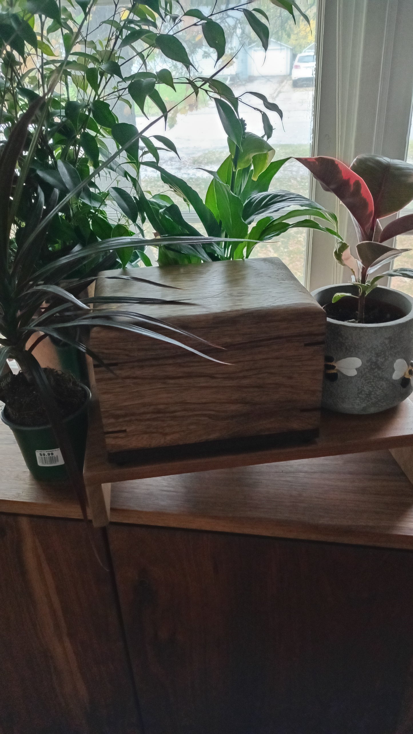 Twilight Grove - Wood Box Urns for Ashes