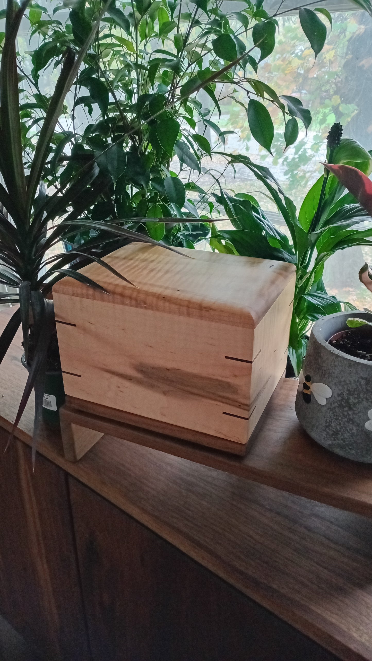Twilight Grove - Wood Box Urns for Ashes