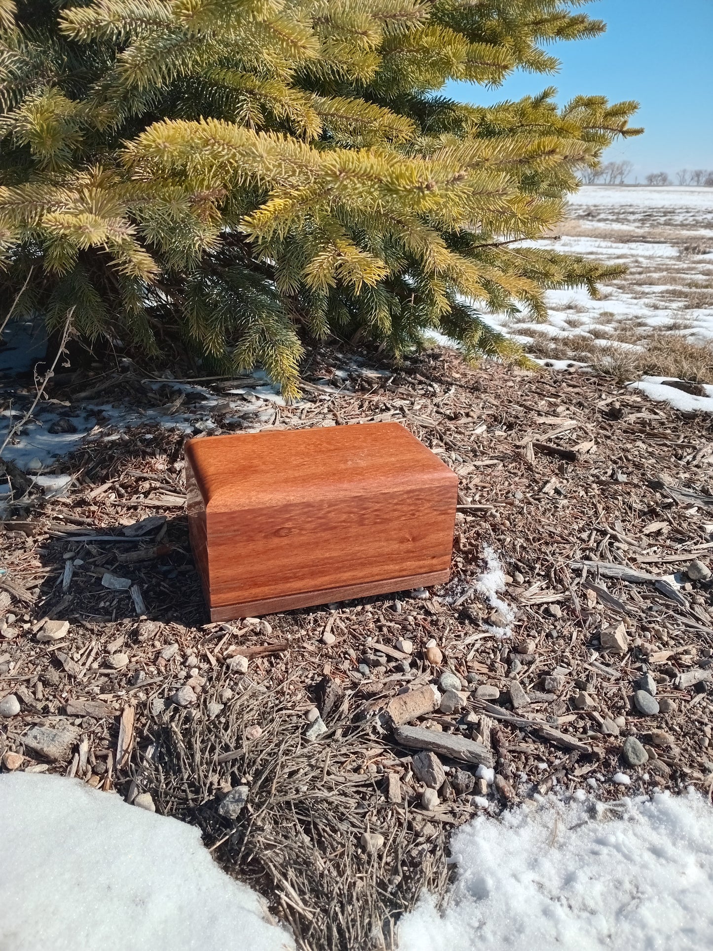 Exotica Wood Urns