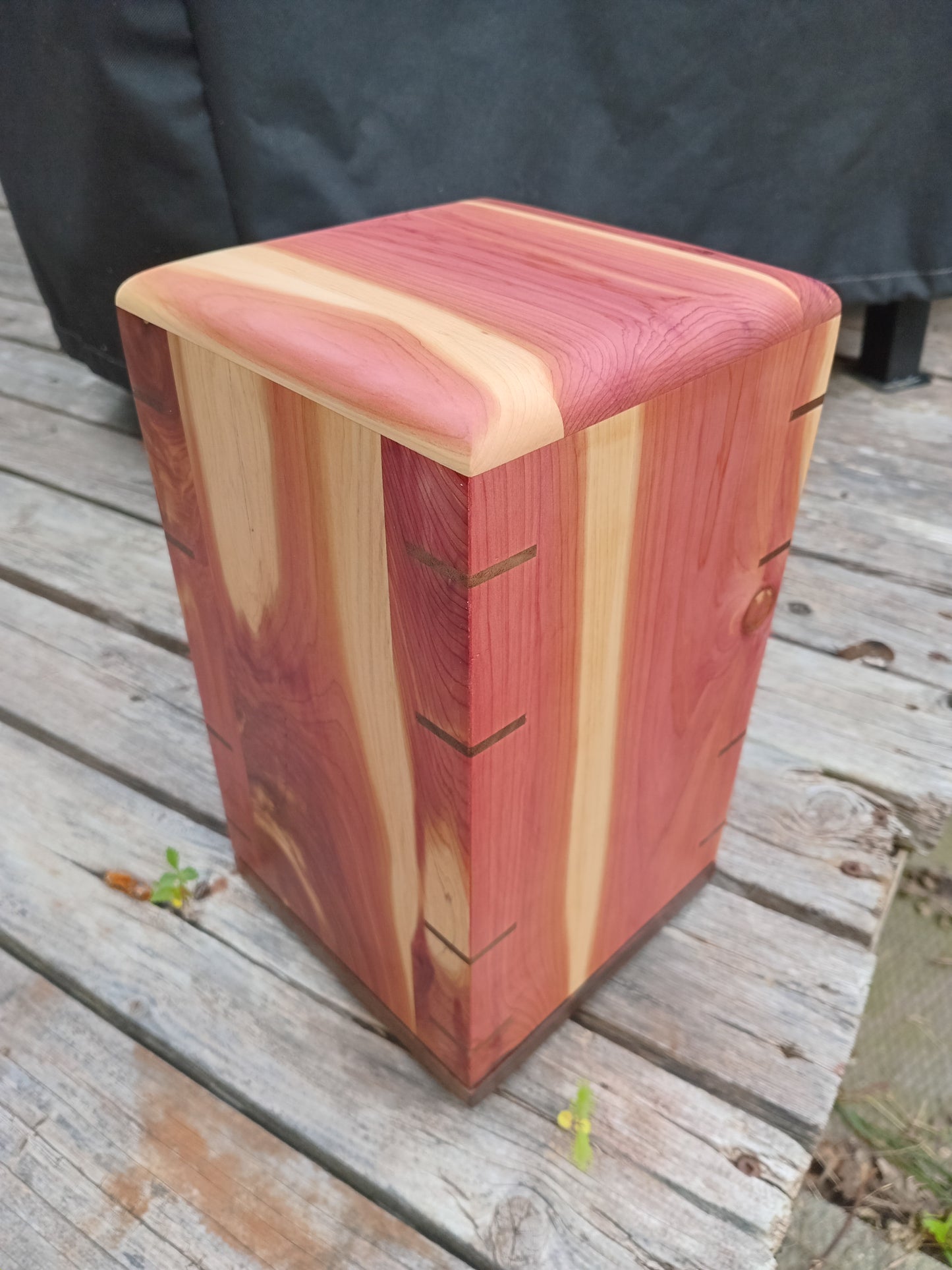 The Forrest Echo Woodbox Urn For Ashes