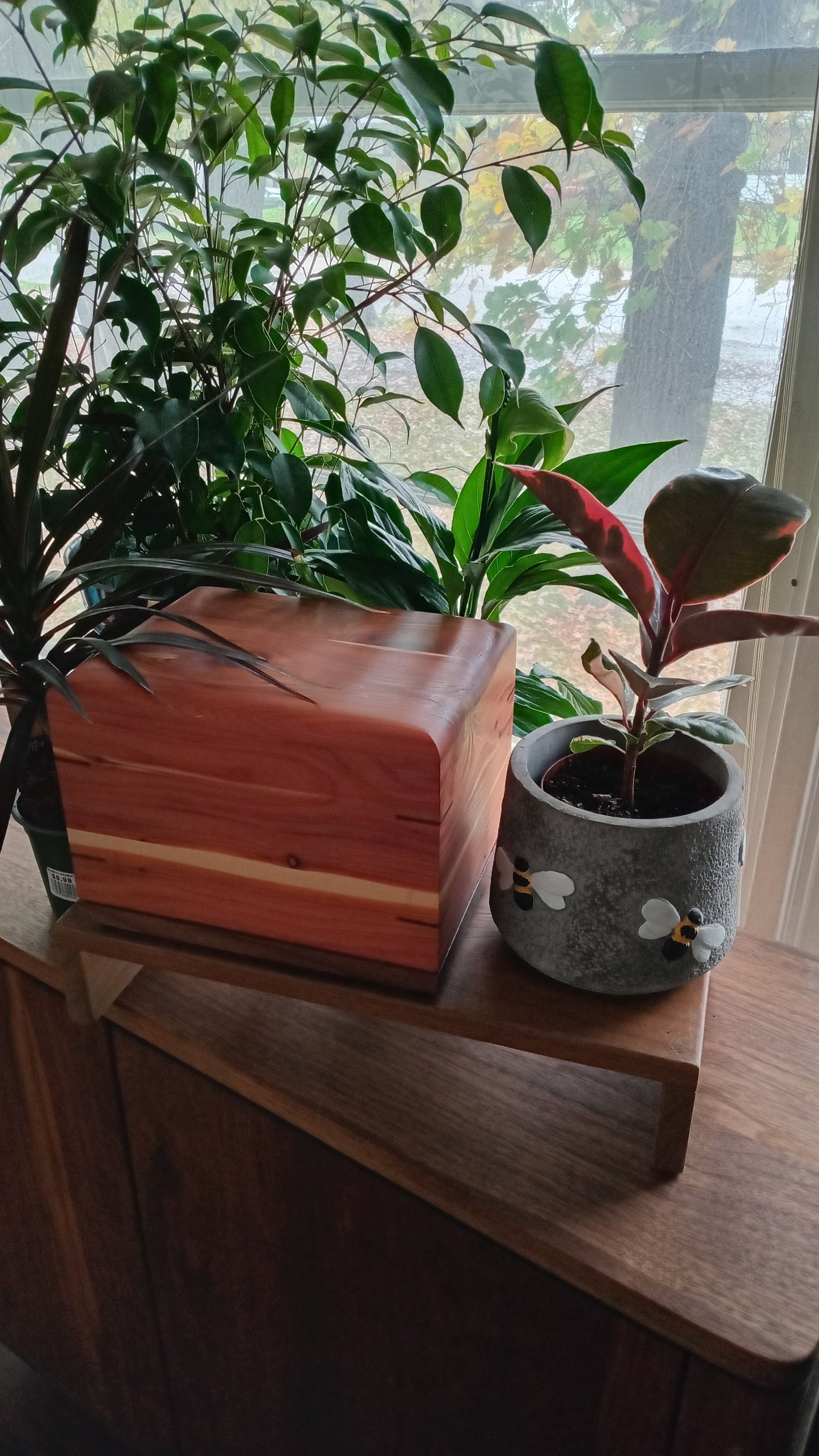 Twilight Grove - Wood Box Urns for Ashes