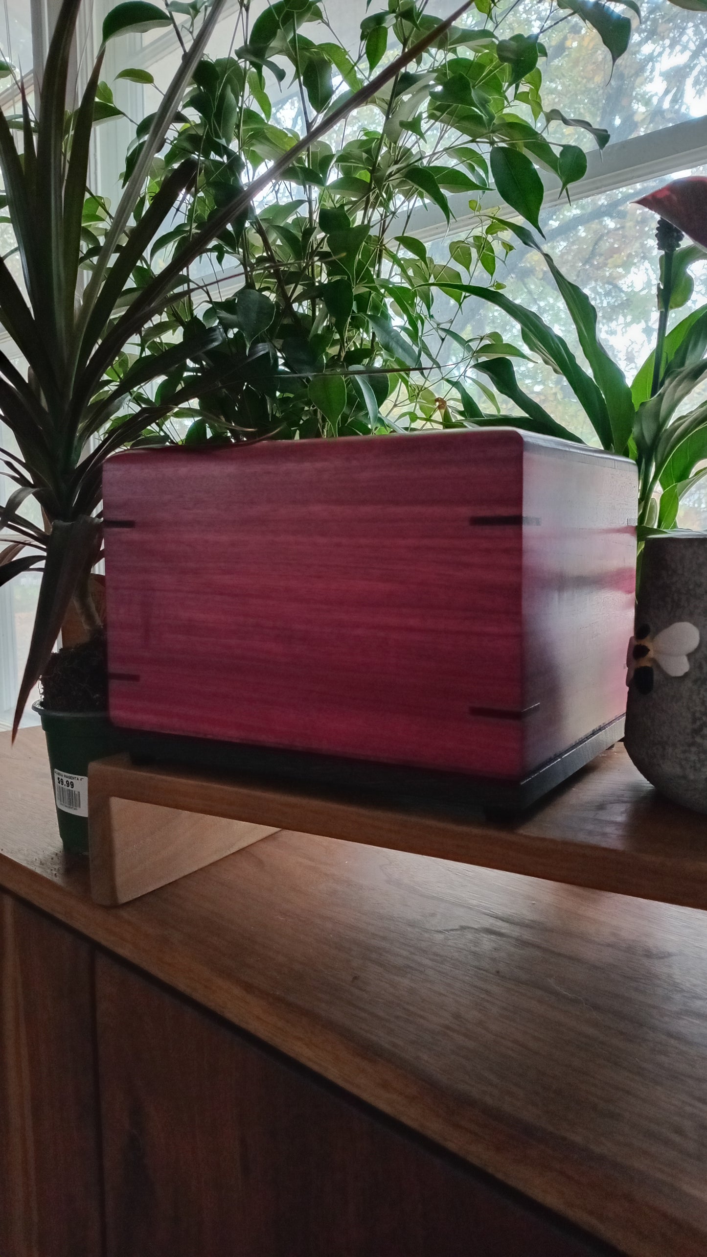 Twilight Grove - Wood Box Urns for Ashes