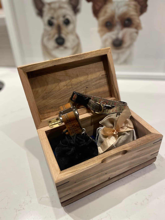 Paw Prints - Open Box Urn For Animal Ashes and keepsakes