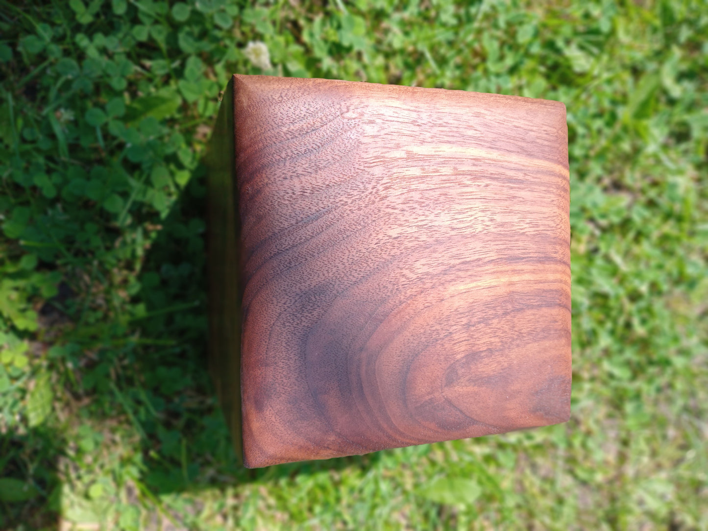 The Forrest Echo Woodbox Urn For Ashes