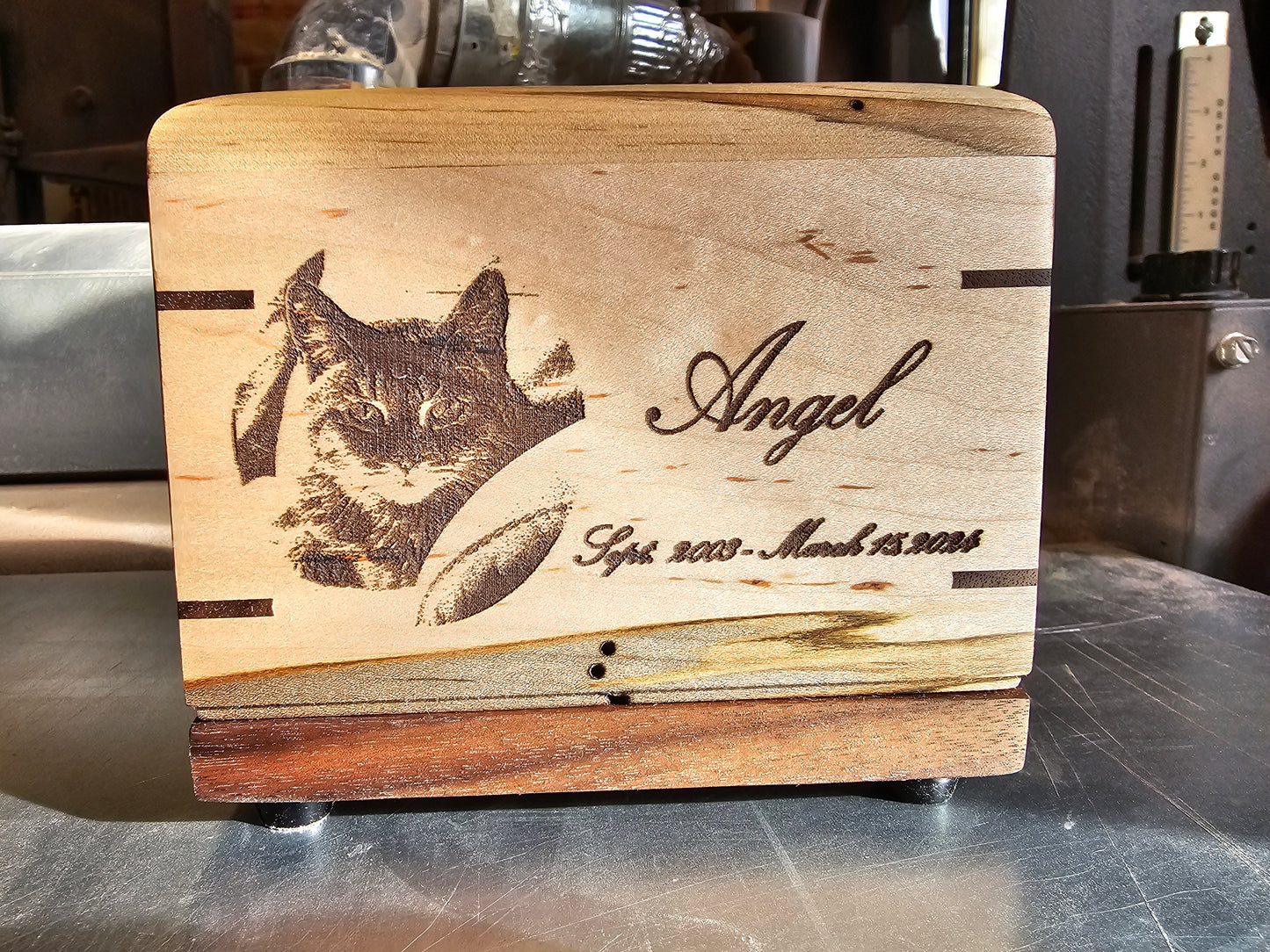 Paw Prints Woodbox Urn For Animal Ashes