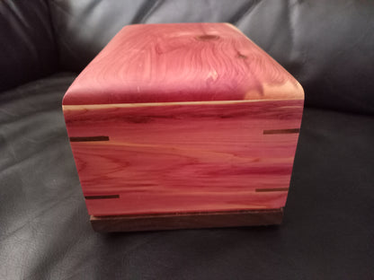 The Red Nebula Woodbox Urn For Ashes