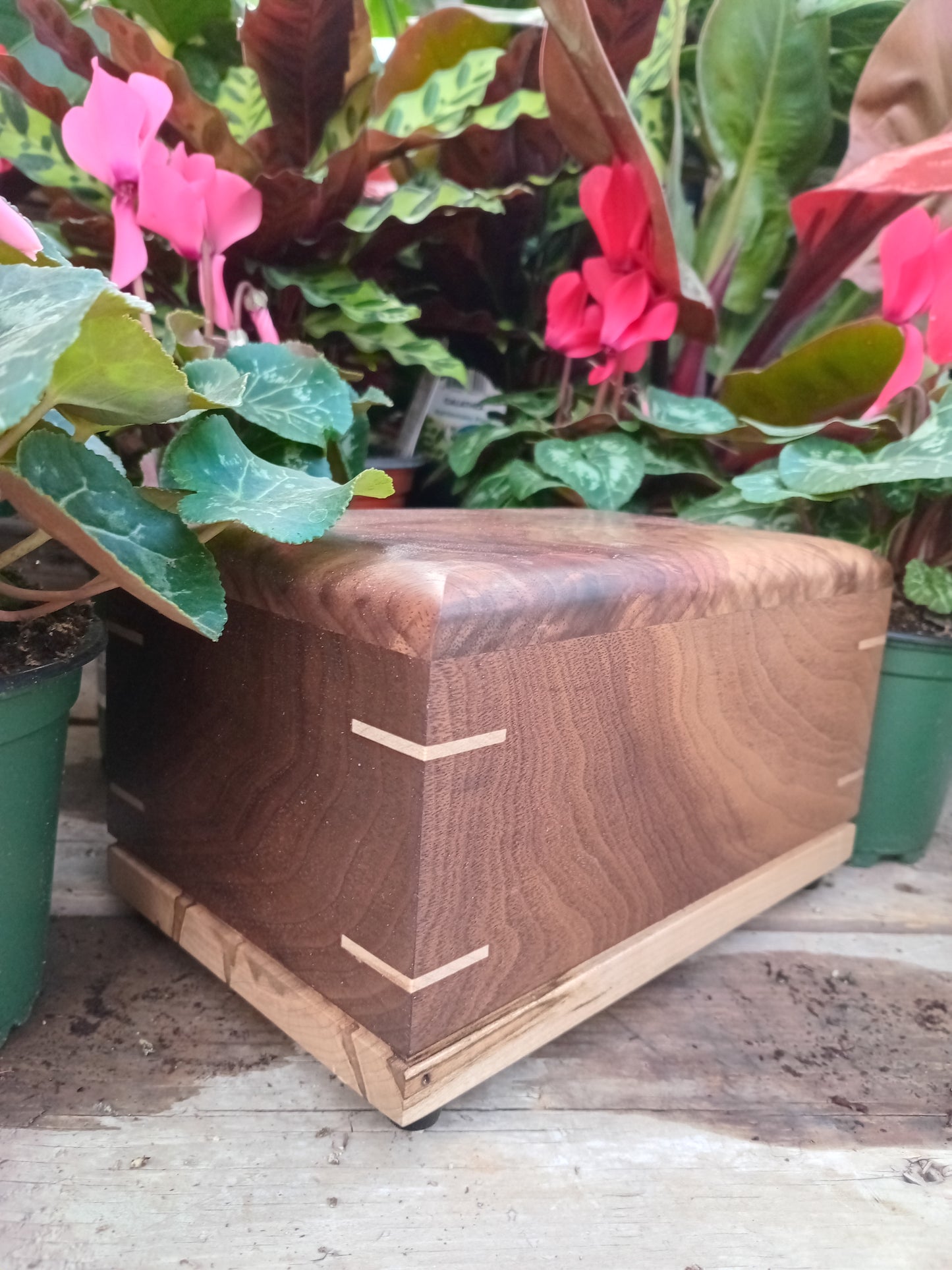 The Black Forest Woodbox Urn For Ashes