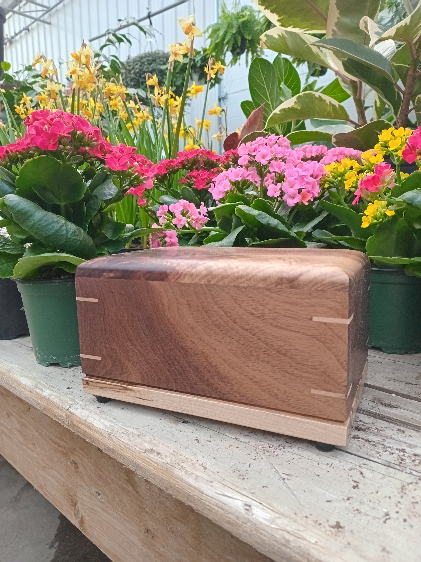 The Black Forest Woodbox Urn For Ashes