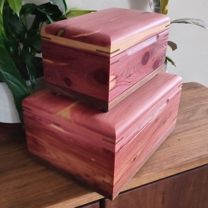 A memory box - keeping your memories safe.