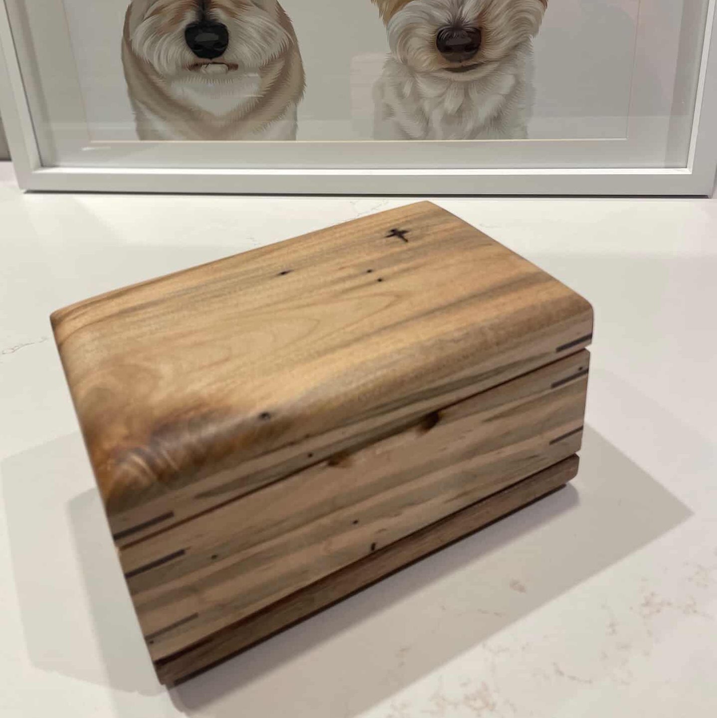 Open Paw - Open Box Urn For Ashes and keepsakes- 💕