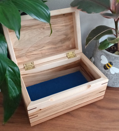 Paw Prints Keepsake Box Urn For Animal Ashes