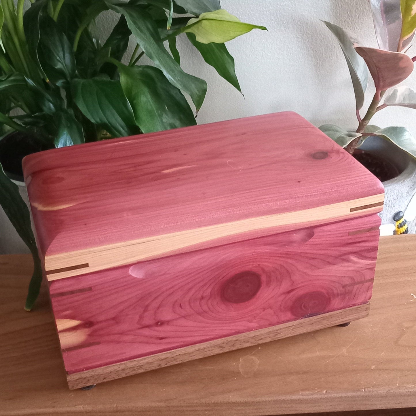 A memory box - keeping your memories safe.