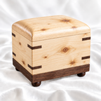 Sharing Ashes Urn Companion