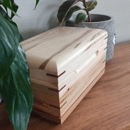 Paw Prints Keepsake Box Urn For Animal Ashes