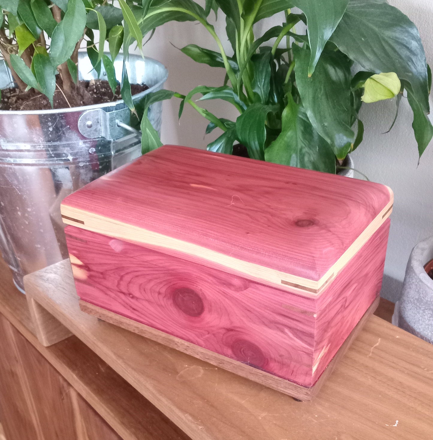 Paw Prints Keepsake Box Urn For Animal Ashes