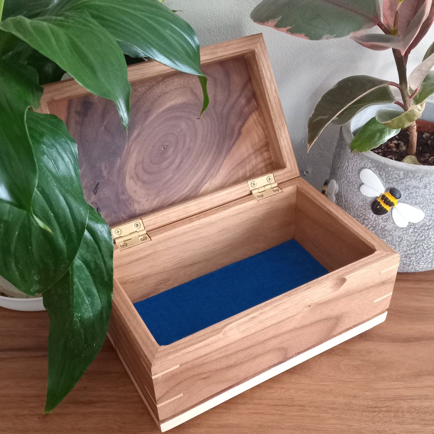 Paw Prints Keepsake Box Urn For Animal Ashes