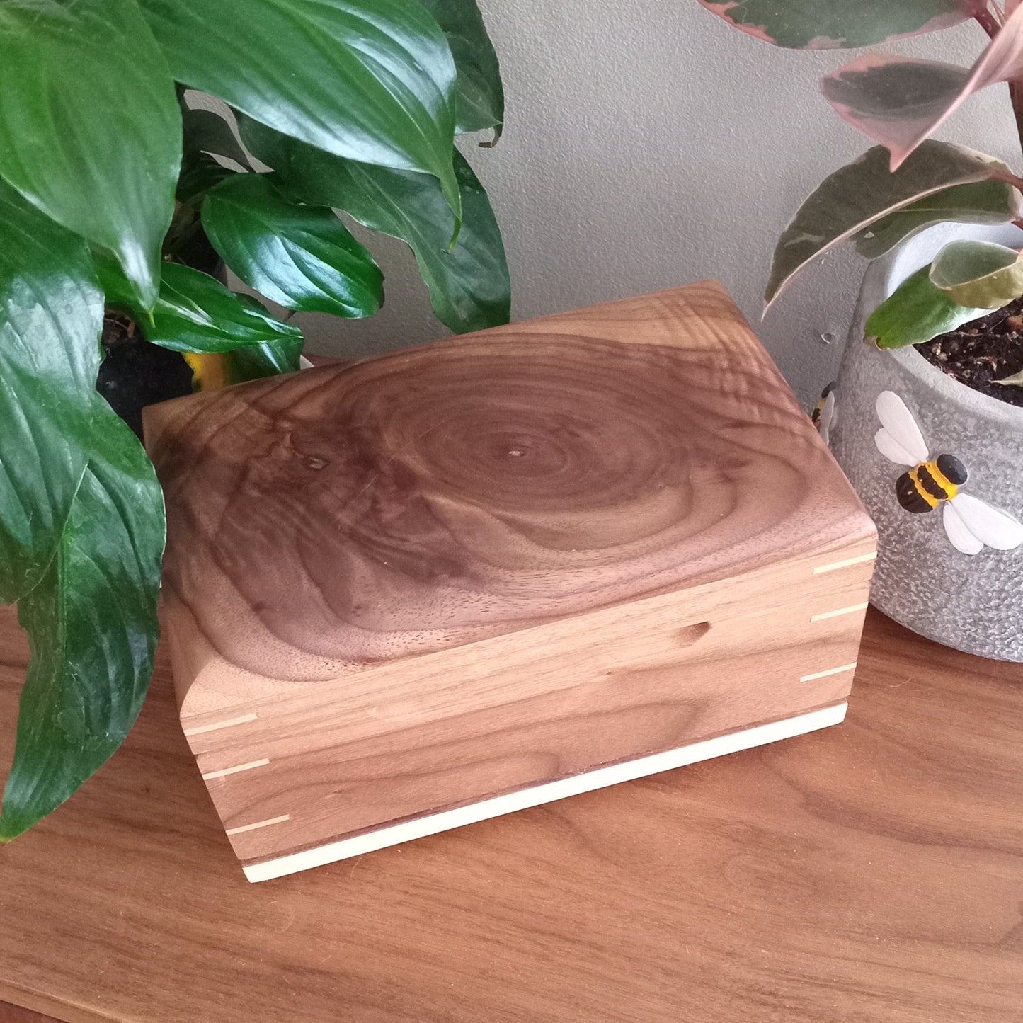 Paw Prints Keepsake Box Urn For Animal Ashes