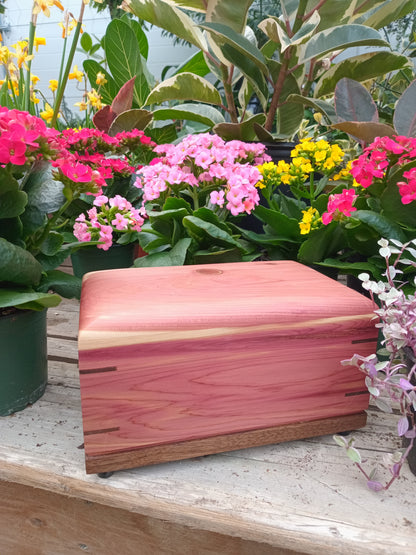 The Havenwood Woodbox Urn For Ashes