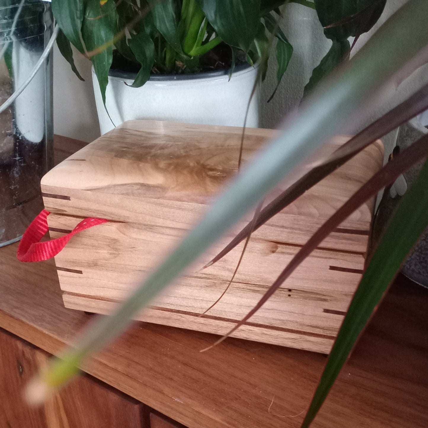 Open Paw - Open Box Urn For Animal Ashes and keepsakes- 💕 most popular.