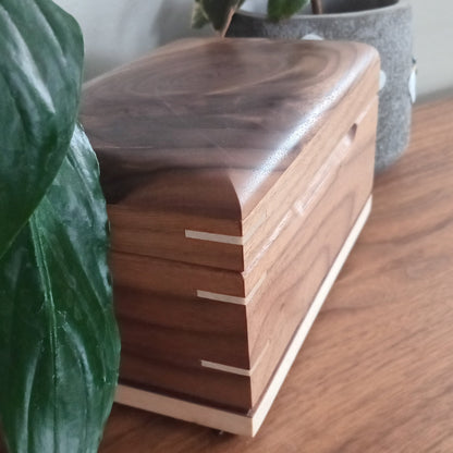 Paw Prints Keepsake Box Urn For Animal Ashes