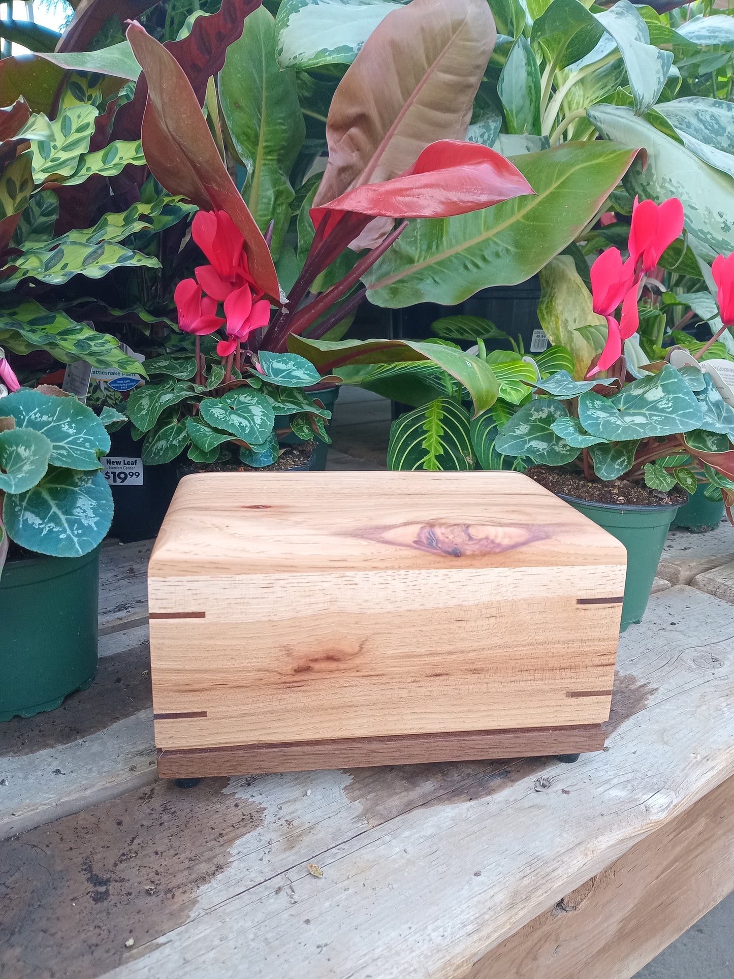 The Havenwood Woodbox Urn For Ashes