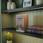 Custom wooden urn with mountain screen engraving, placed on a  green hutch and black shelf with books and plant