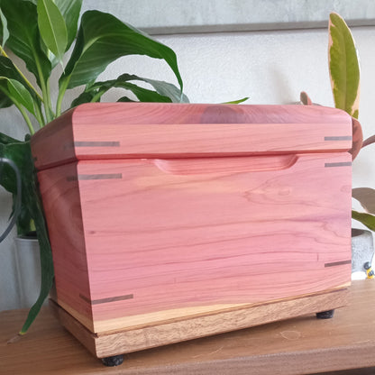 Heirloom Recipe Box - keep your culinary secrets safe.