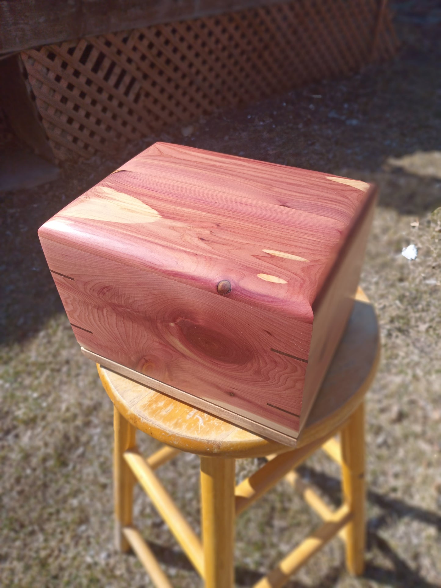 The Treasure Keepsake Woodbox Urn For Ashes