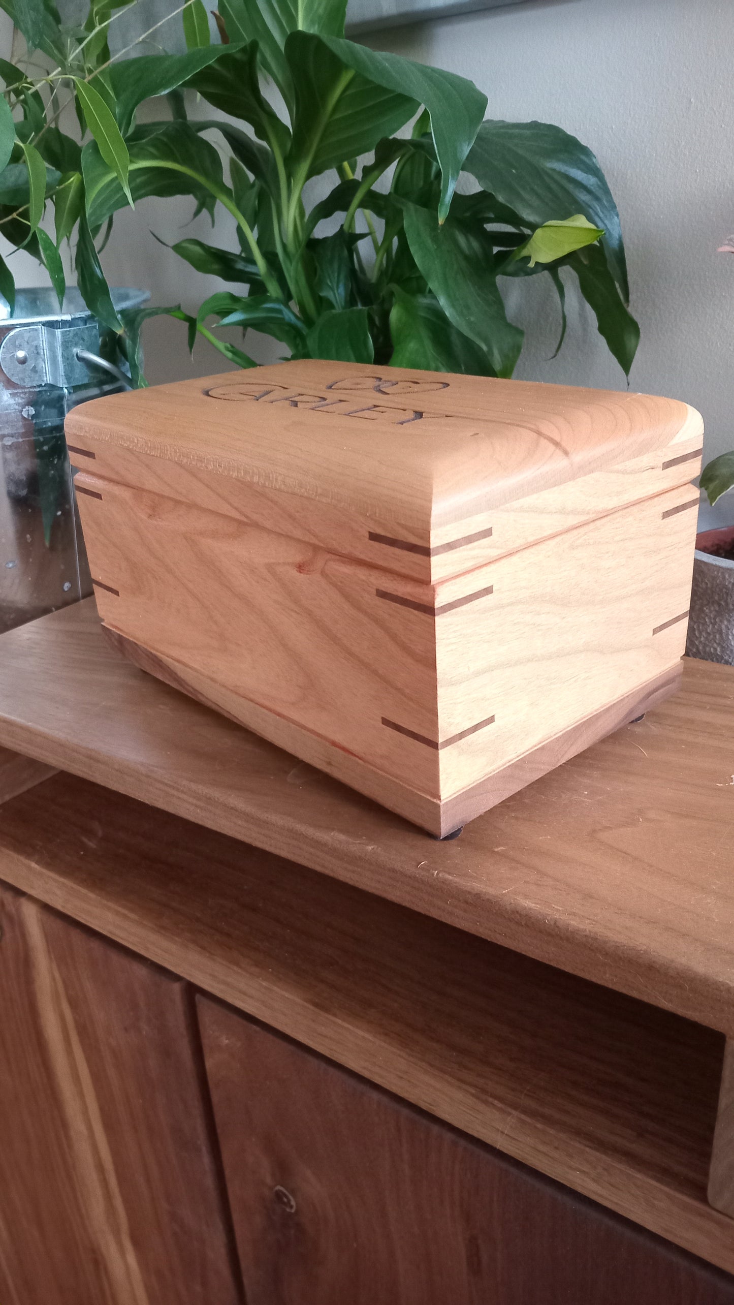 A memory box - keeping your memories safe.