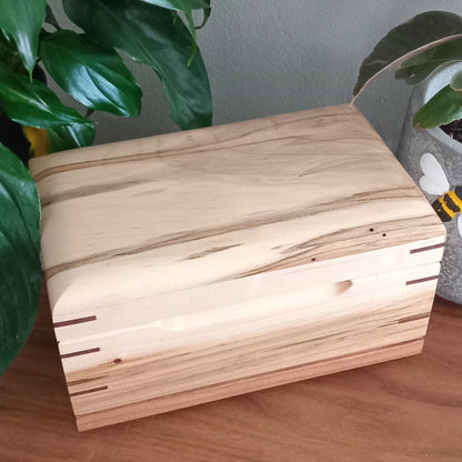 Paw Prints Keepsake Box Urn For Animal Ashes