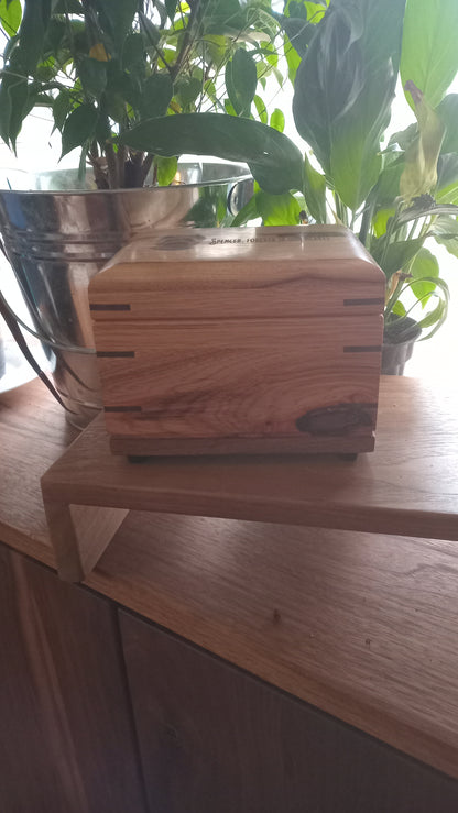 The Treasure Chest Keepsake Woodbox Urn For Ashes