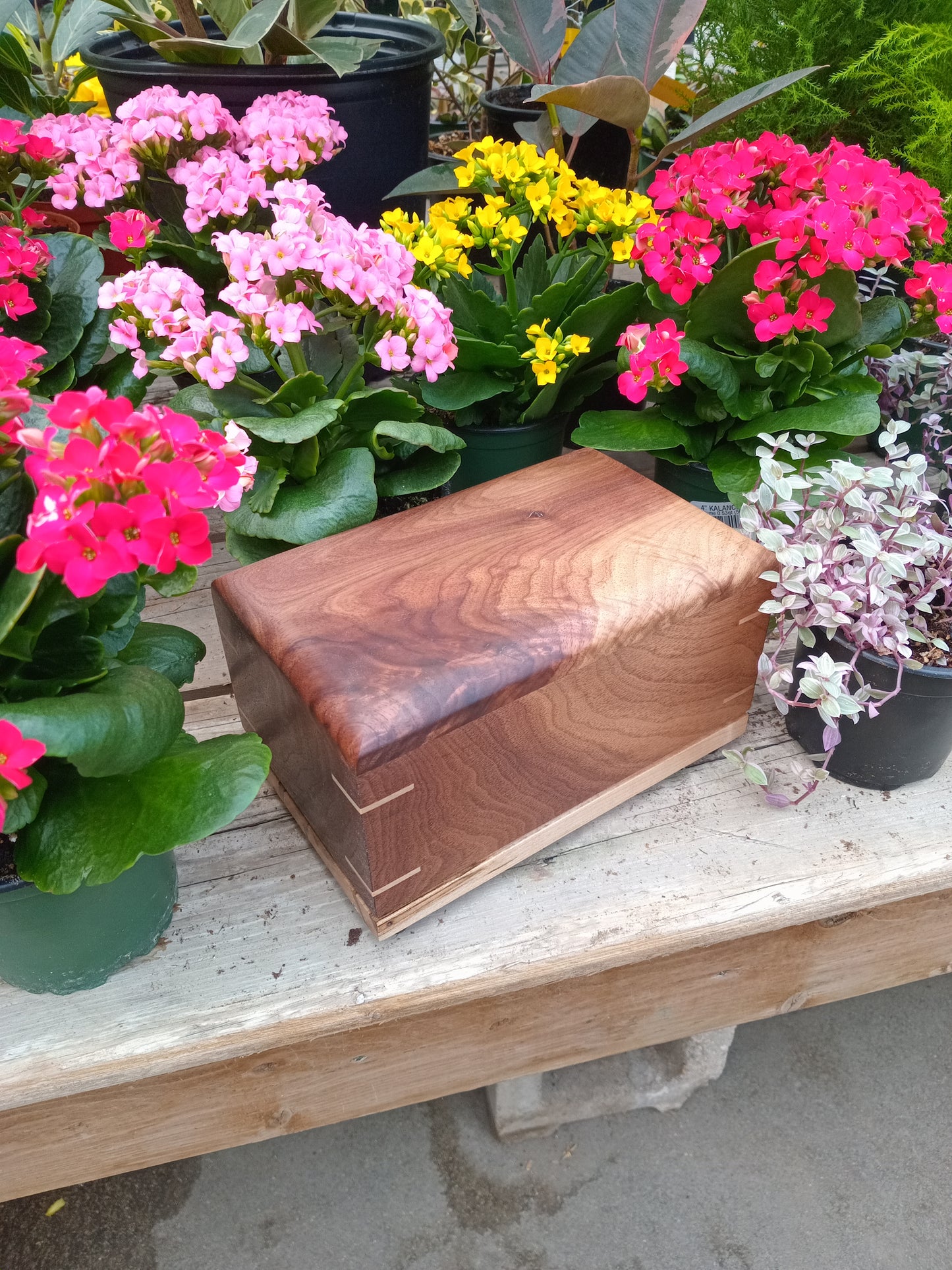The Havenwood Woodbox Urn For Ashes
