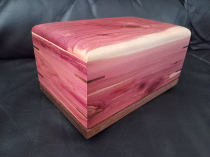 Paw Prints Woodbox Urn For Animal Ashes