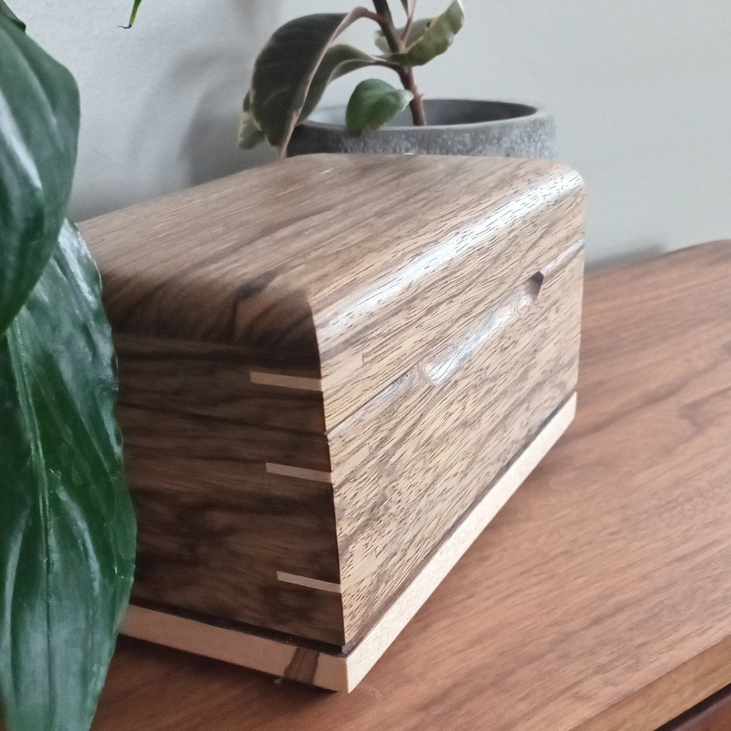 Paw Prints Keepsake Box Urn For Animal Ashes