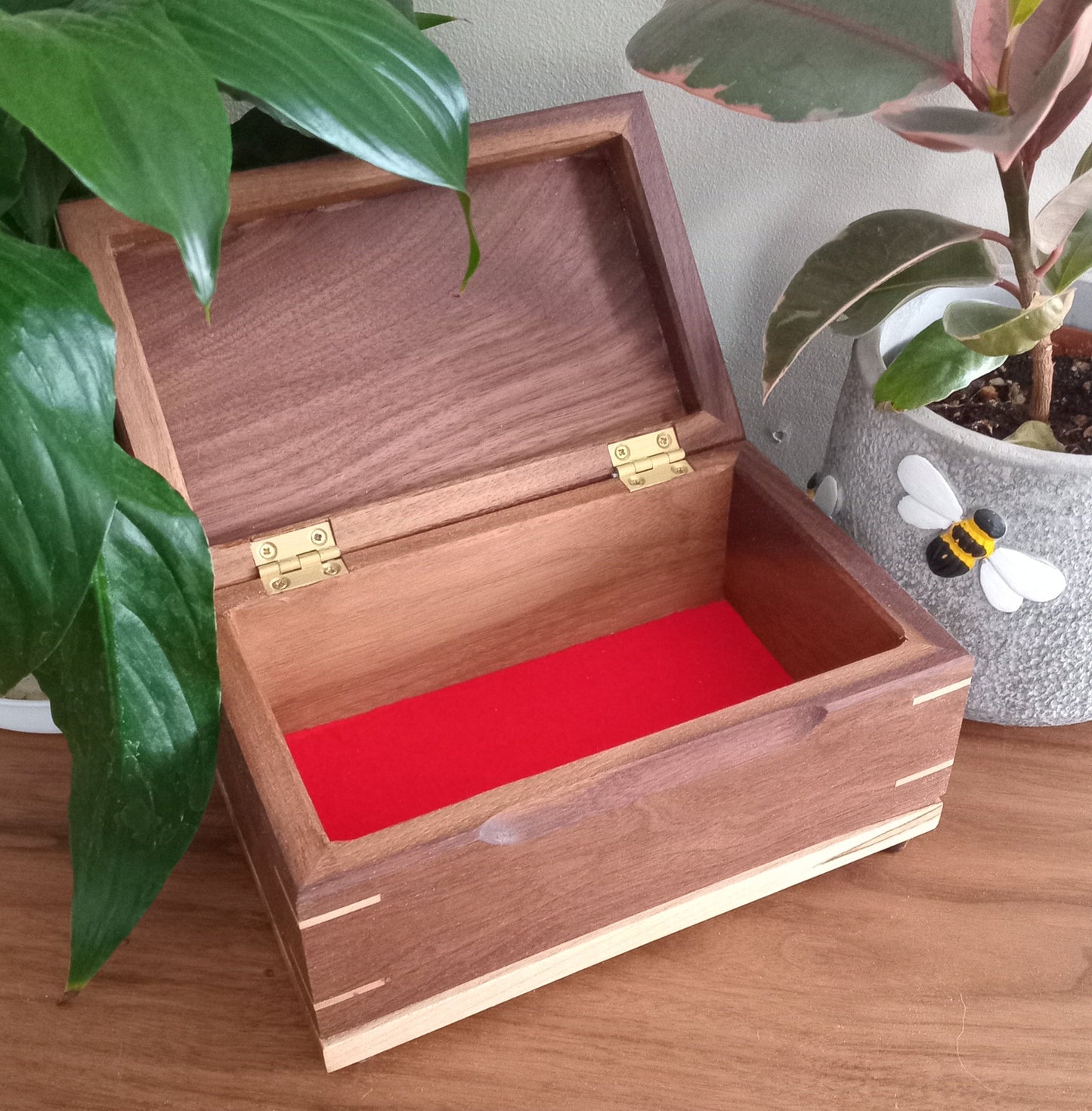 Paw Prints Keepsake Box Urn For Animal Ashes