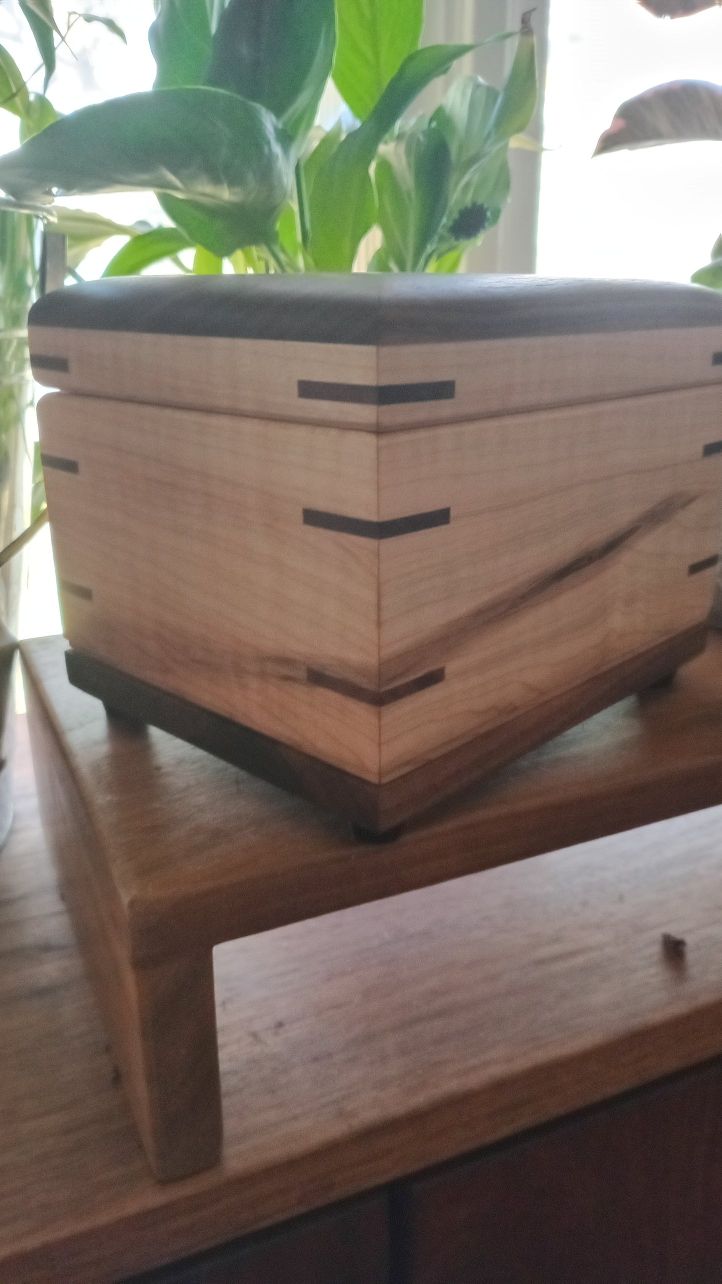 The Camelia Woodbox Urn For Ashes