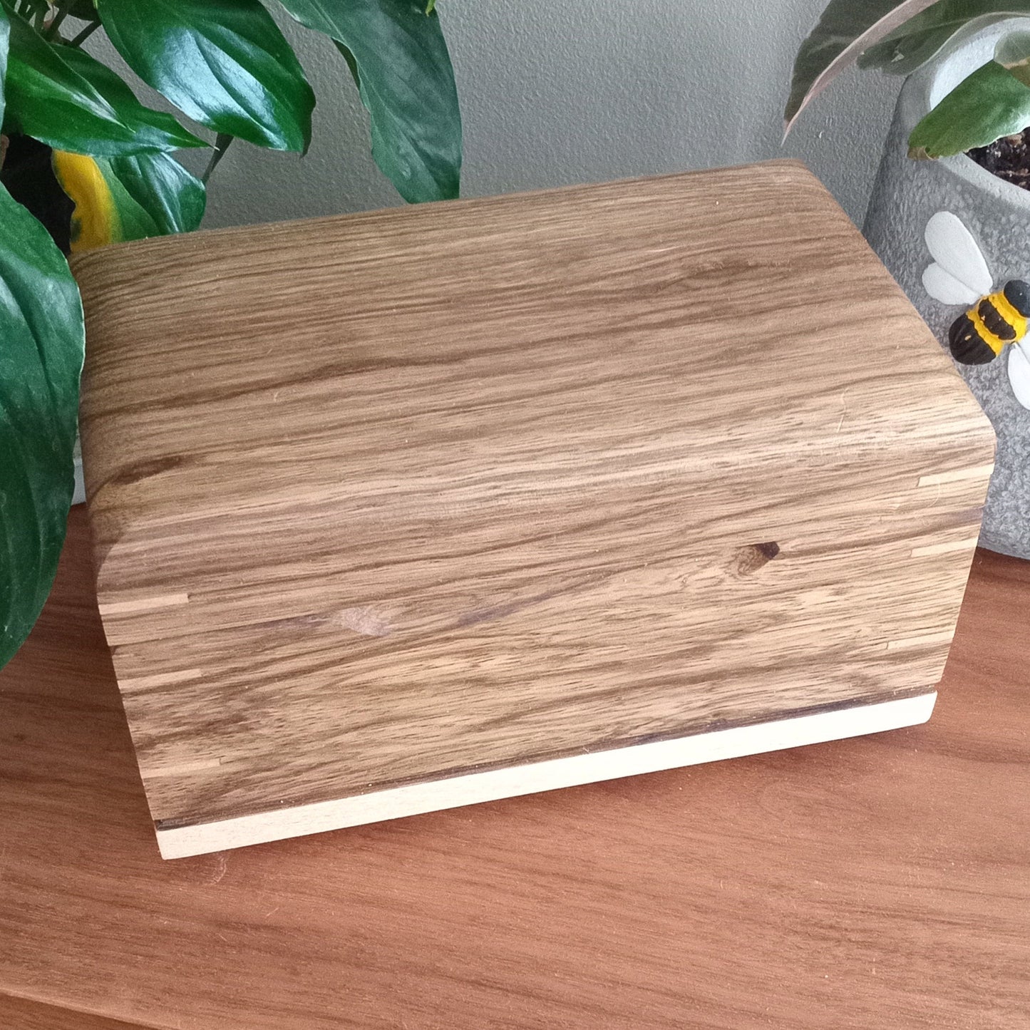 Paw Prints Keepsake Box Urn For Animal Ashes